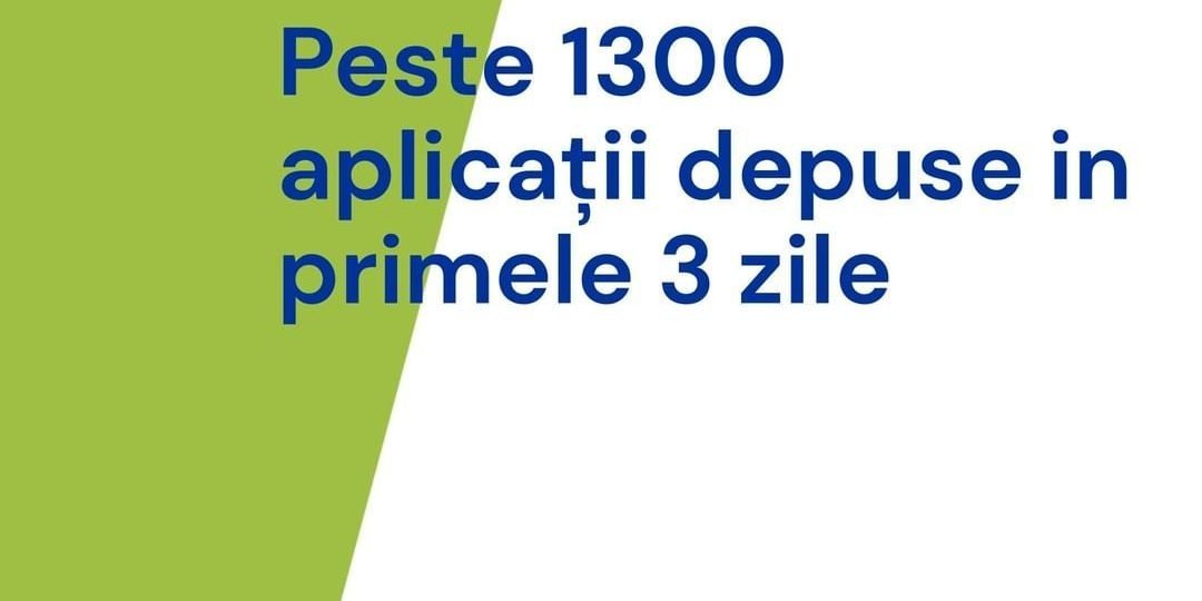 Depunere masivă în cadrul submăsurii 6.2 - Sprijin pentru înființarea de activități neagricole în zone rurale
