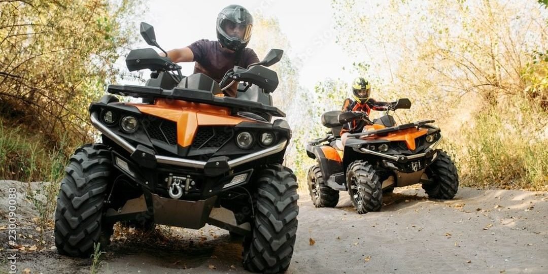 Exemple de afaceri în domeniul activităților de agrement în mediul rural*