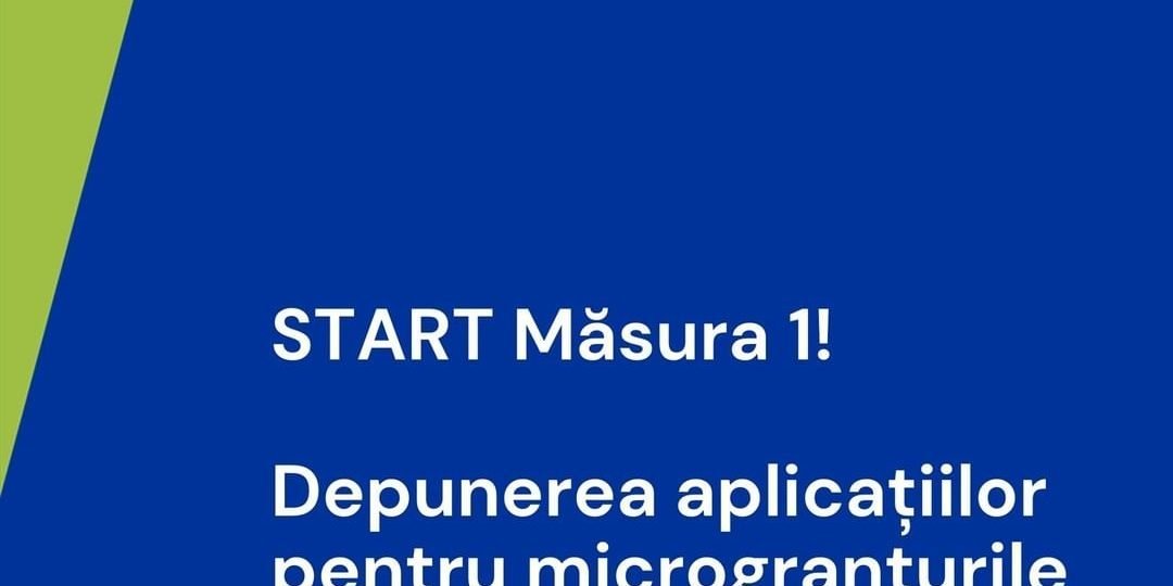 Microgranturi de 2000€